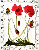 WORKSHOP | Make your own floral greeting cards
