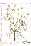 WORKSHOP | Make your own floral greeting cards