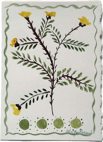Floral hand-painted greeting card