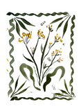 WORKSHOP | Make your own floral greeting cards